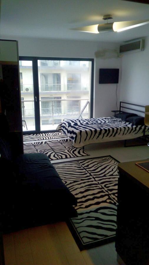 De Silva Studio Zebra *